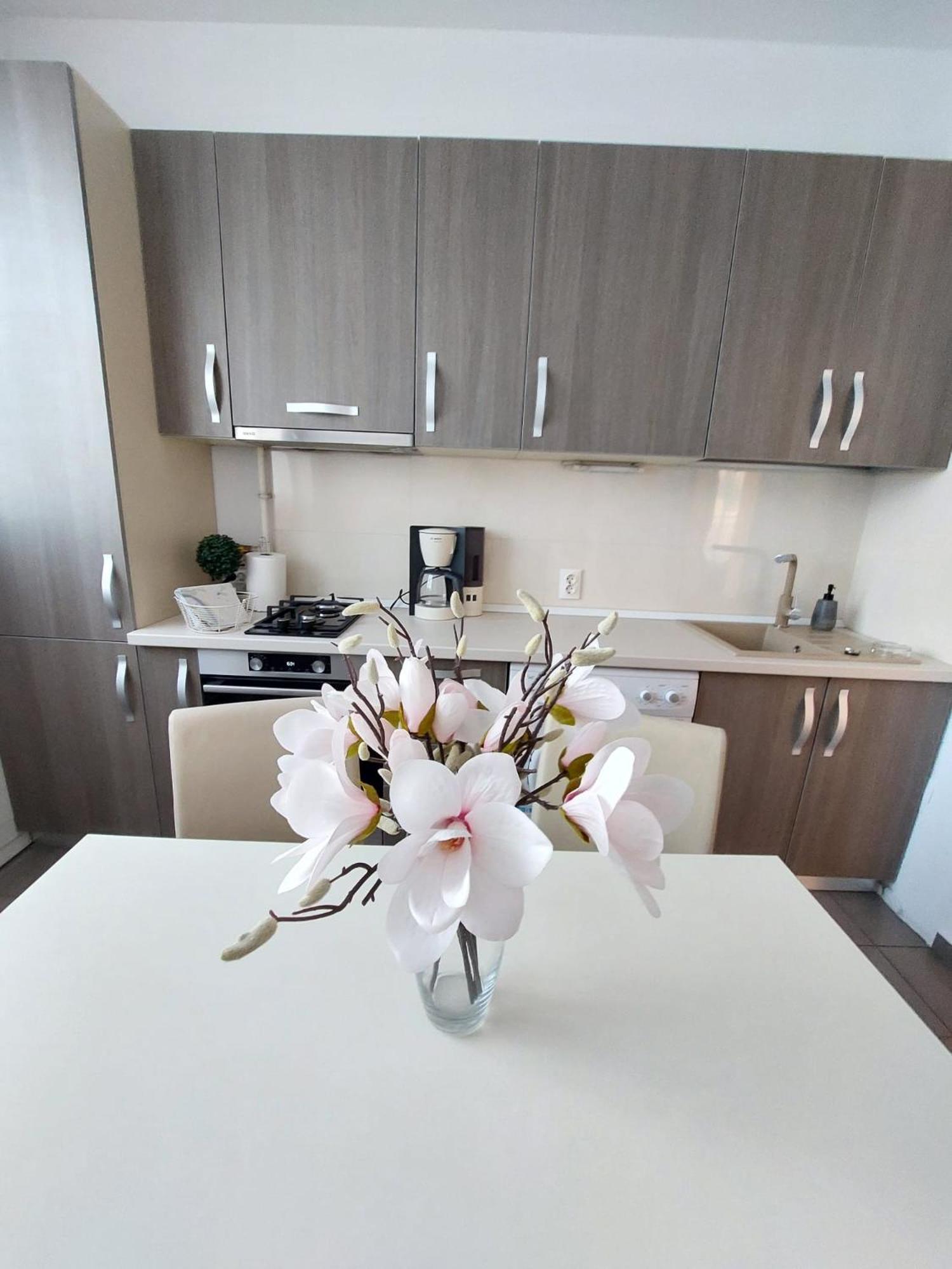 Sweet Residence Apartment Arad Exterior photo